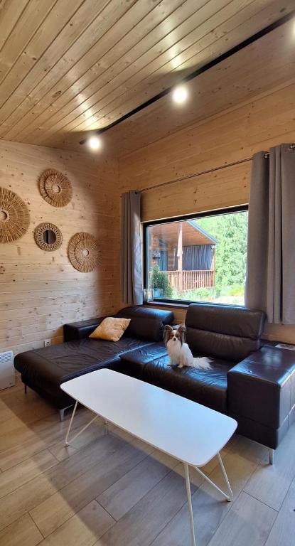 Садиба Пташка - B&B Krivopol’ye