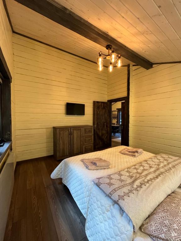 Шале Верховинський водограй - B&B Synevyrska Poliana