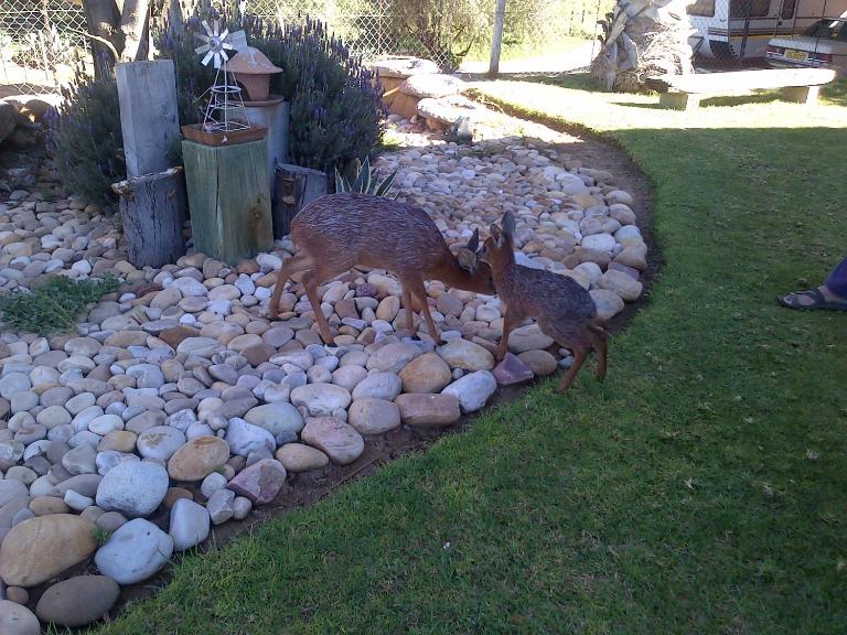 Grysbok Self Catering Accommodation - B&B Oudtshoorn