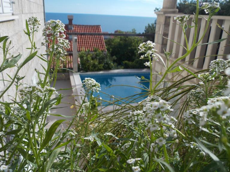 Guesthouse Villa Klaic - Ferienwohnung Dubrovnik
