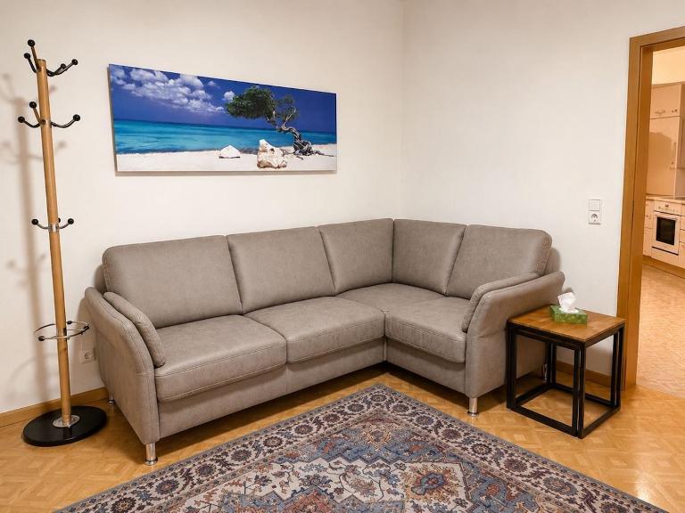 Central apartment near Rhine Bridge & Switzerland - Chambres d'hôtes Rheinfelden