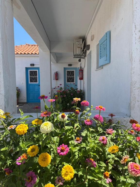 Anthemis Studios - B&B Skála Eresoú