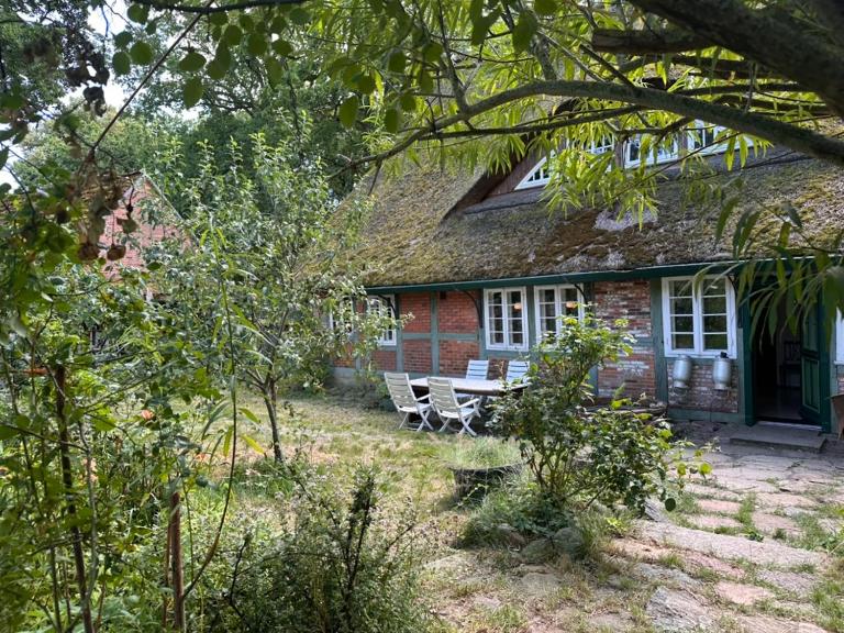 Wohnen unterm Reetdach - Ferienwohnung Toppenstedt