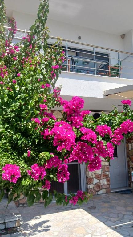 Vana's Apartments - B&B Saranda