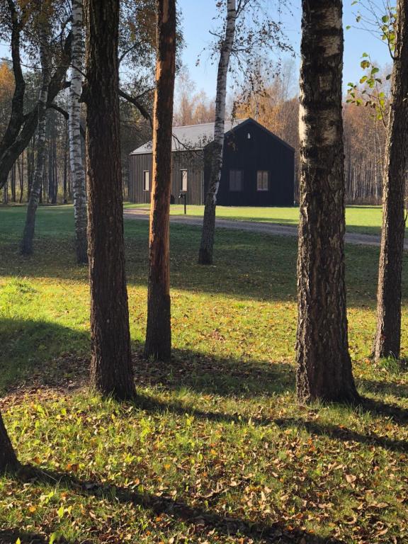Pauze silent nature retreat - Bed and Breakfast Grikiapelė