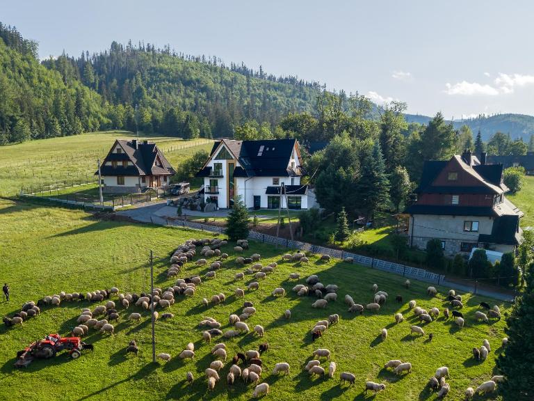 Willa Folc - B&B Kościelisko
