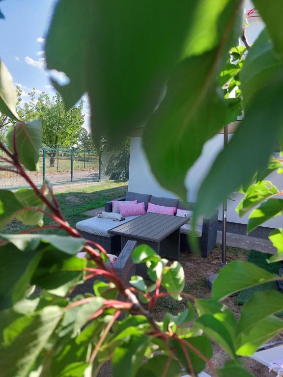 Secret Garden House - B&B Surduk