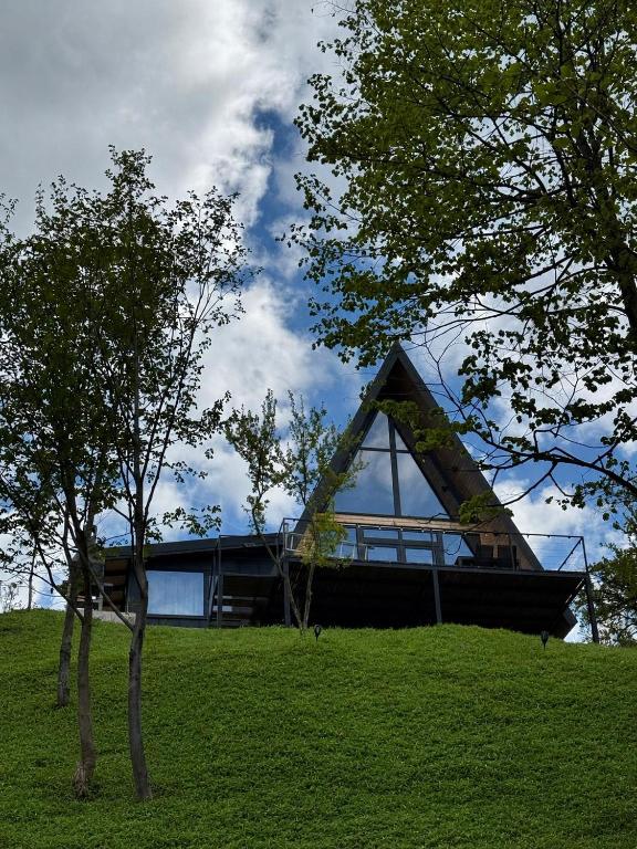 Nature View Chalet - B&B Brazii de Sus