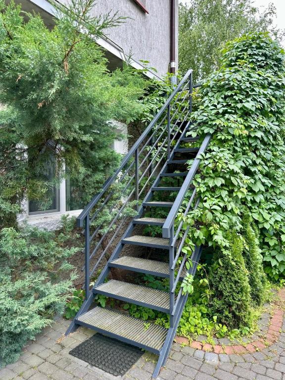 Apartament na piętrze z tarasem w Augustowie - B&B Augustów