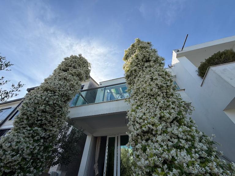 Vila Arb - Ferienwohnung Ulcinj