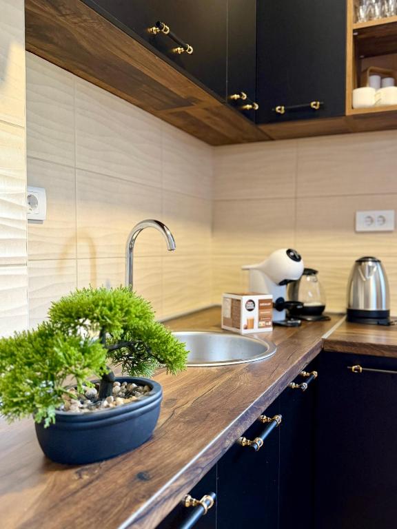 Kava Pearl - One Bedroom Apartment in Tivat - B&B Tivat