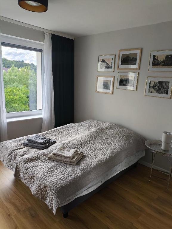 Apartament Jeziorna - B&B Debrzno