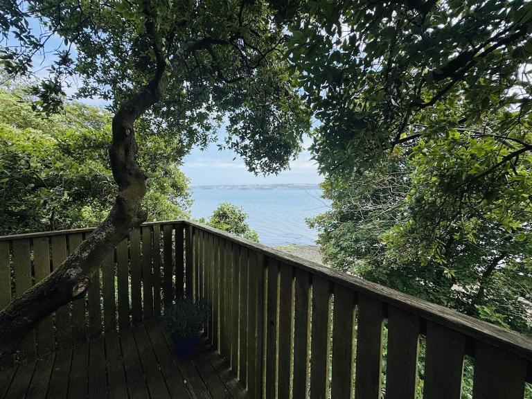Harbour view Tree House - B&B Cobh