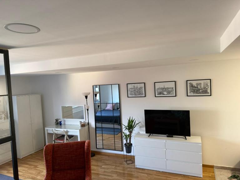 Petica Apartment with Free Parking Near Center - Bed and Breakfast Novi Sad