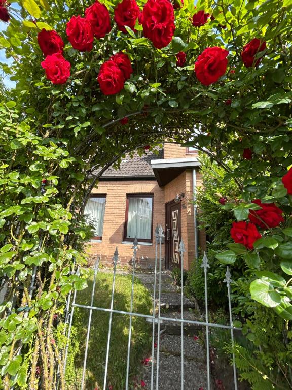 City Home - 5 Min zum Hauptbahnhof - Ferienwohnung Lübeck