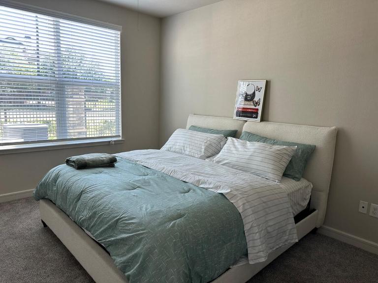 2 King Bed Luxury Energy Corrido - Ferienwohnung Houston