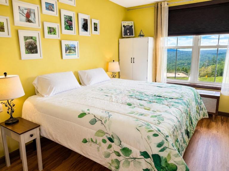 Super Cute Studio Next To Ski Slope WiFi Village - B&B Slaty Fork