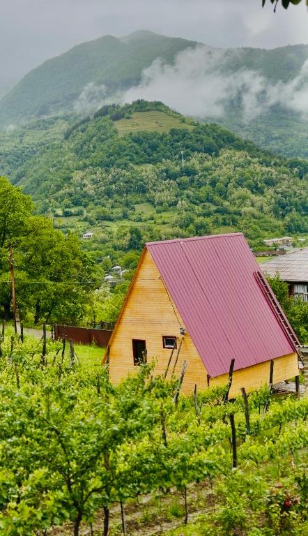 ჰარმონია Harmony Cottage - B&B Ambrolauri