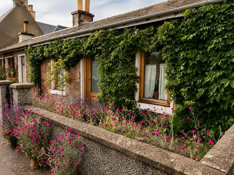 Ivy & Ink Cottage - Ferienwohnung Inverness