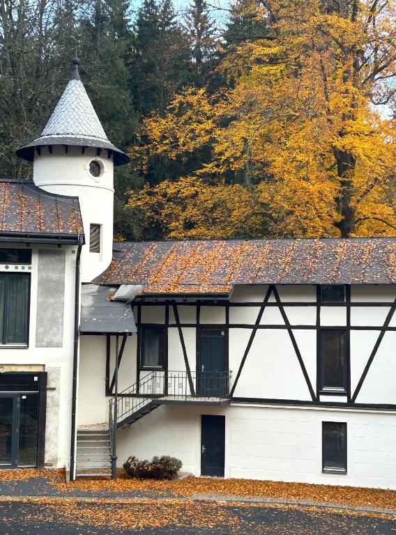 Lesní Mlýn Depandance - B&B Mariánské Lázně
