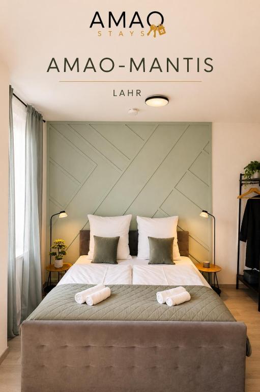 AMAO-Mantis - City Center Studio - Old Town Lahr - B&B Lahr