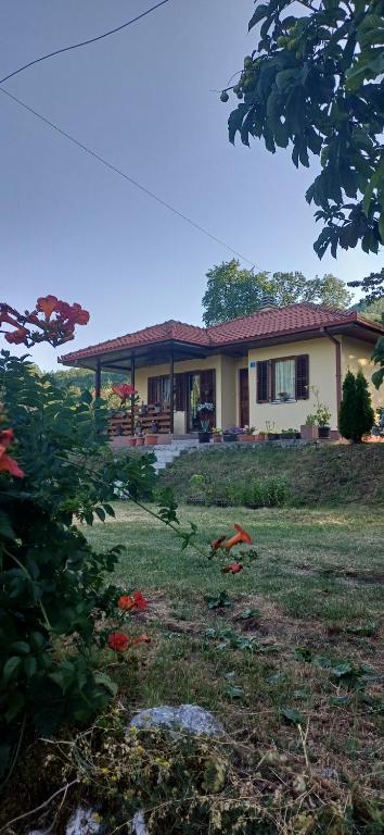 Nature escape cottage - B&B Cettigne
