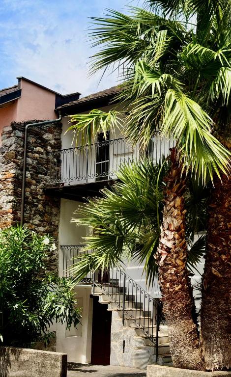 The Palm House Bellinzona - B&B Bellinzona