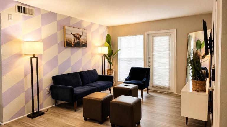 Cool 2Bed 1Bath 5 min walk to NRG and Medical Center - B&B Houston