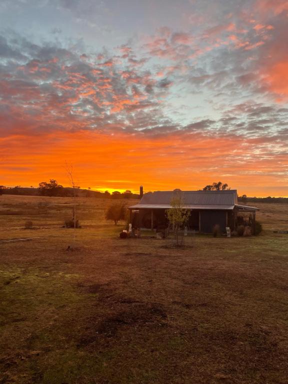 Rust & Timber Farmstay - B&B Emmaville