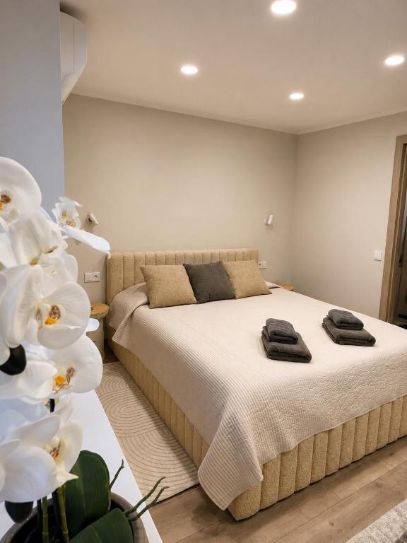 Pure Lotus Studio Apartment Druskininkai - Chambres d'hôtes Druskininkai