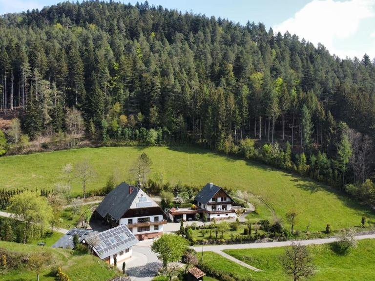 Obergießhof Waldbauernhof - Bed and Breakfast Hornberg