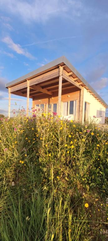 Gemütliches Holzhaus 2 auf der Quinta Oak Tree Land mit Weitblick & Pool - B&B Massuça