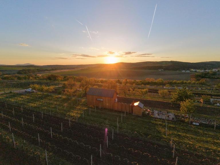 Tiny house Pálava - B&B Bořetice