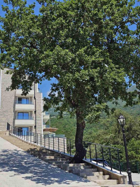 Sound of Silence Apartments - B&B Budua