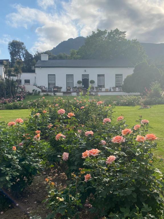 Rose Cottage PAARL SOUTH - Bed and Breakfast Hartebeeskraal