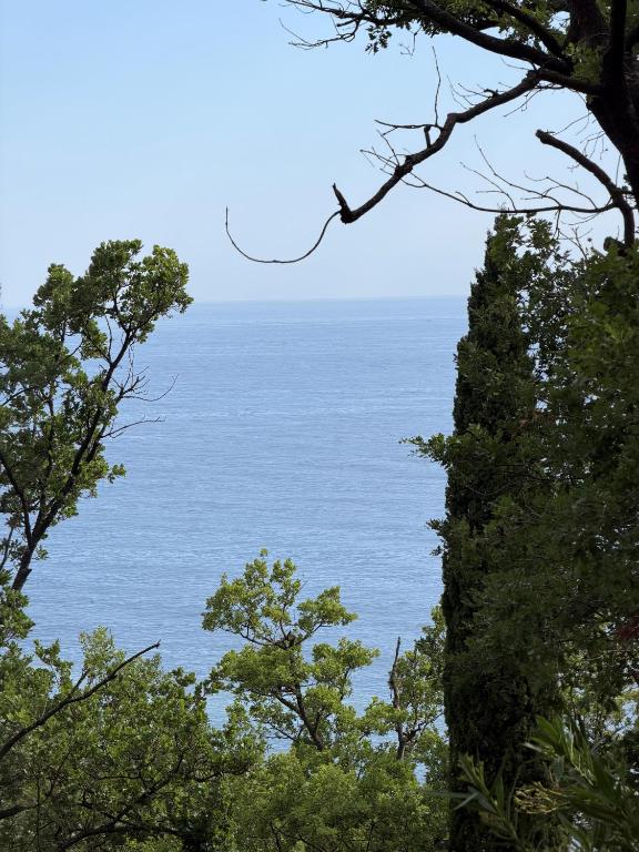 Vila Srna - B&B Petrovac na Moru