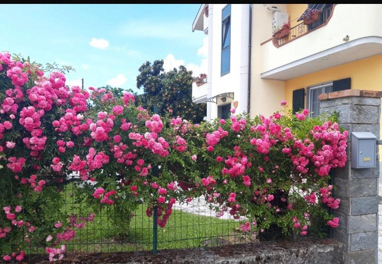Casa Bruna - B&B Albiano