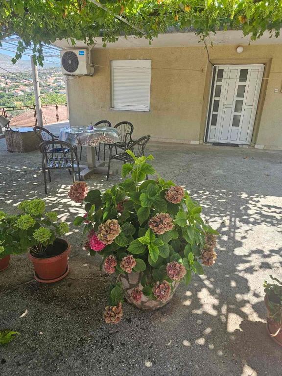 DM Apartman - Bed and Breakfast Trebinje