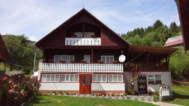 Pensiunea Daiana - B&B Albac