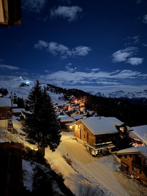 Chalet Adler Bettmeralp 2 Schlafzimmer - Chambres d'hôtes Bettmeralp