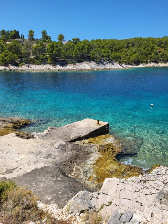 Punta Tankaraca - Vela Luka - B&B Vela Luka