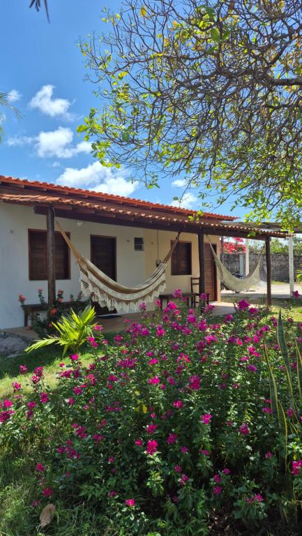 Chalé Renilton Turismo - B&B Santo Amaro do Maranhão