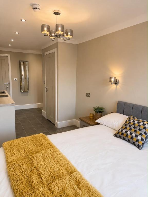 Posh Apartments - B&B Derby