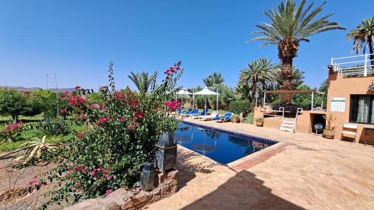 Les Plamiers d'anis - B&B Ouarzazate