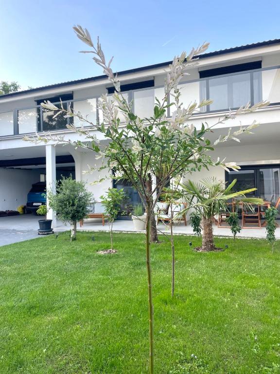 Senje Sky Inn - B&B Senje