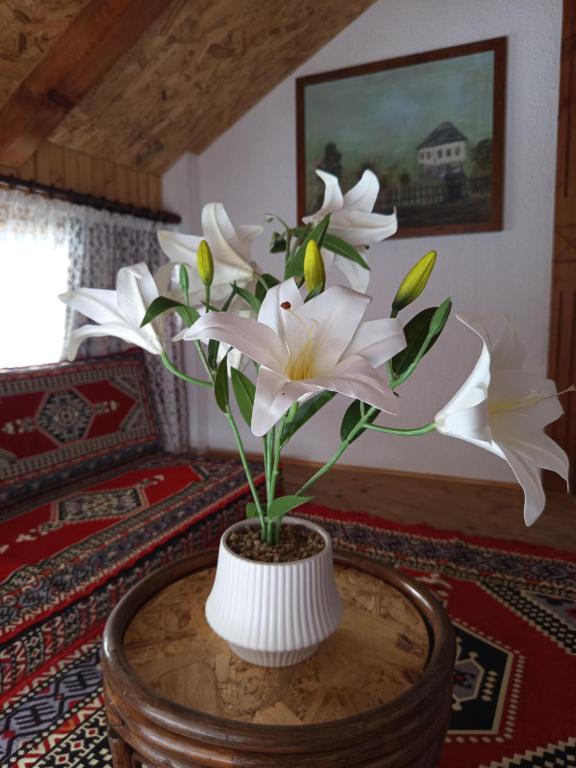 HAAN apartman - B&B Bosanska Krupa
