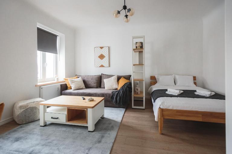 Comfy & Spacious Riga Center Studio Apartment - B&B Riga