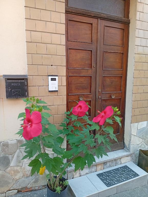 Da Rina - B&B Stazzano