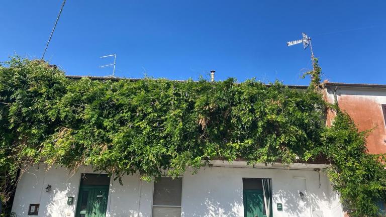 La casa di Fedio e Renza in Maremma, a 10min dal mare - B&B Castiglione della Pescaia