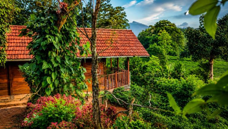 Sinharaja Forest Lodge - Deniyaya - B&B Domagoda